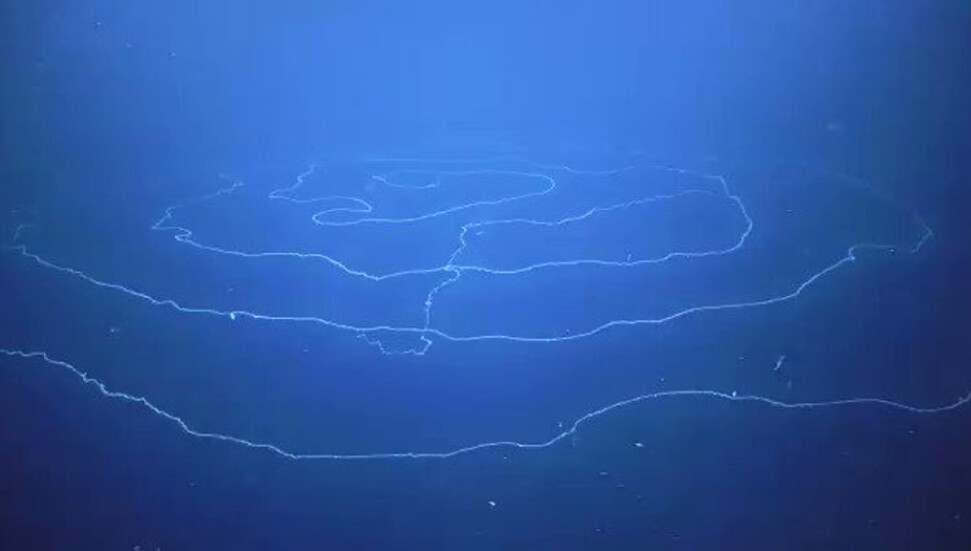 Okyanus tabanının altında tatlı su kaynağı olduğu doğrulandı