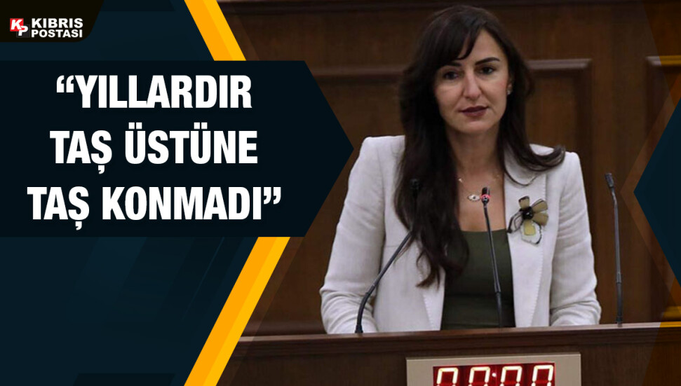 Jale Refik Rogers, hükümeti Öğretmenler (Değişiklik) Yasa Tasarısı'nı geri çekmeye çağırdı