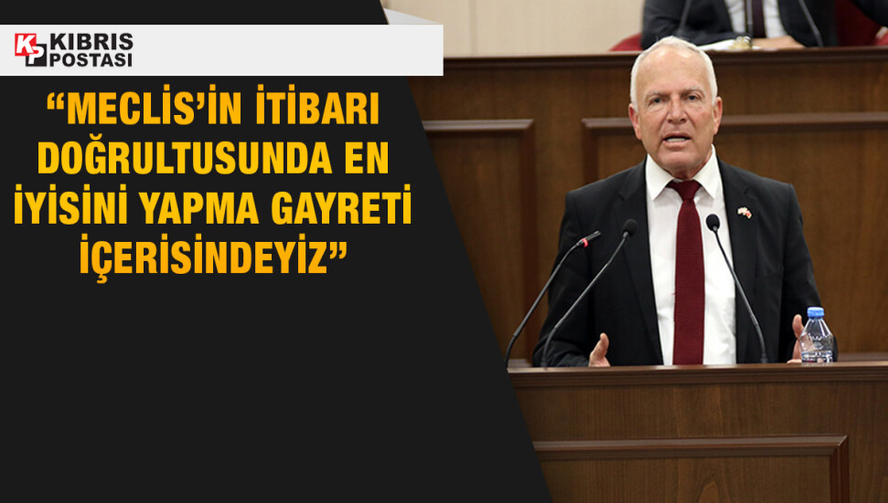 Zorlu Töre: Meclis’in aracı arızalı olduğu için eşimin aracına makam plakası taktık
