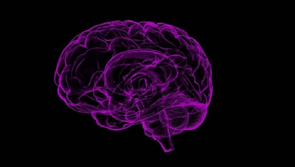 Erkek beyni daha hızlı yaşlanıyor: Peki neden Alzheimer kadınlarda daha yaygın?