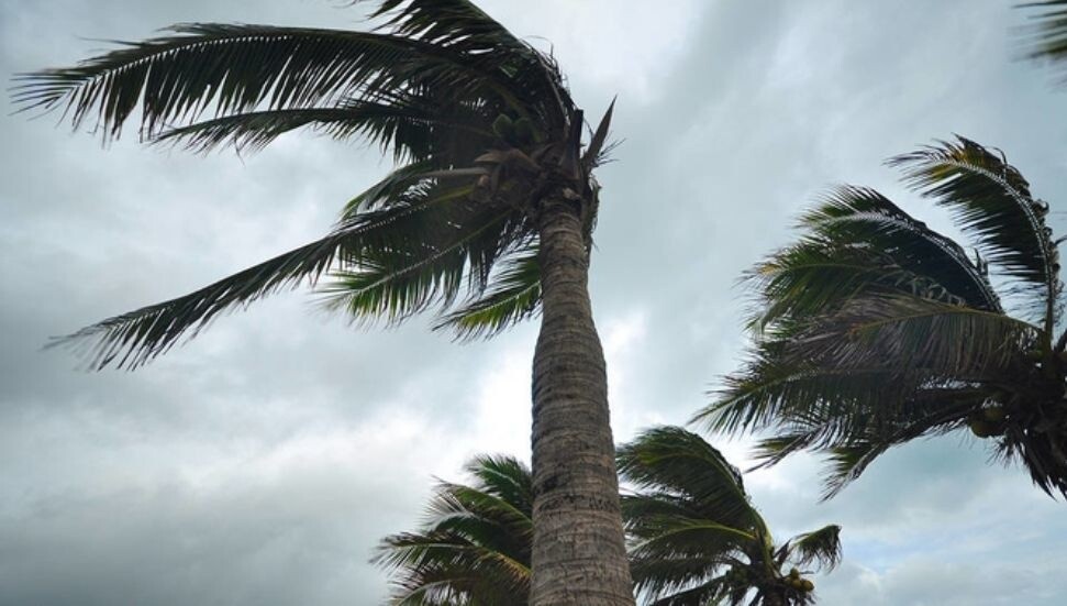 Meteoroloji'den yarın için fırtınamsı rüzgar uyarısı!