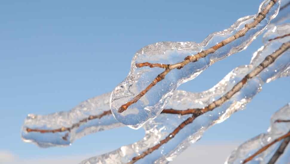 Meteoroloji uyardı: Yarın ve cuma sabah saatlerinde don bekleniyor