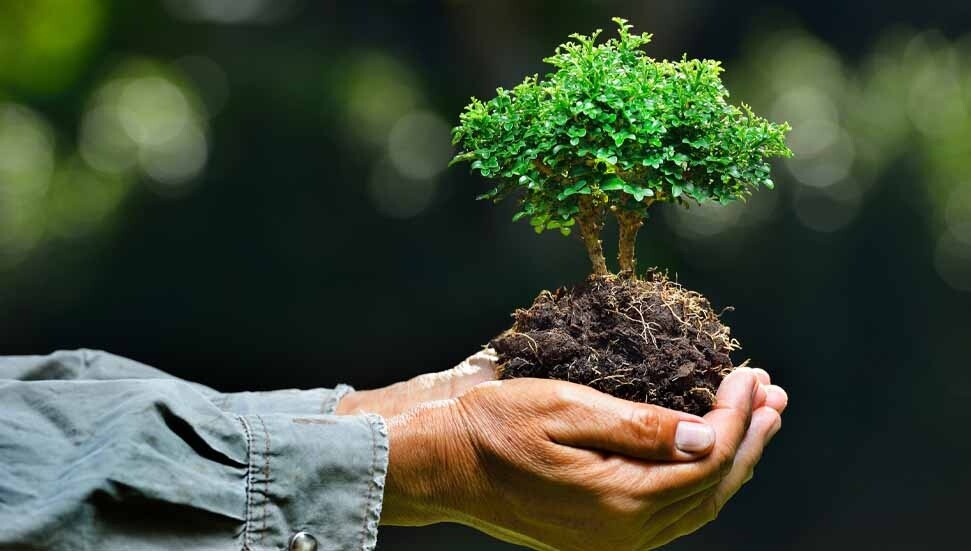 Ziraat Mühendisleri Odası'ndan “İklim Değişkenliği ve Tarıma Etkileri” semineri