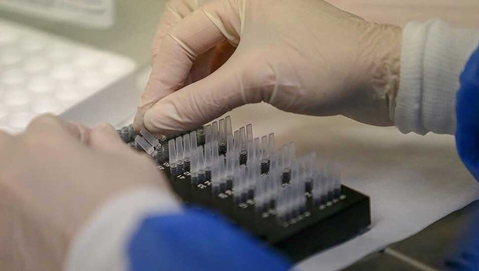 Viagra, ölümcül çocuk hastalığına umut oldu