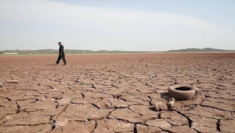 Europe Must Step Up Efforts to Protect Environment: Report