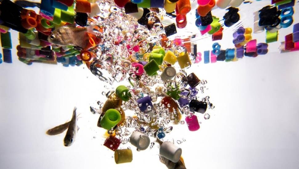 Mikroplastiklerin erkeklerde kalp hastalığı riskini artırdığı bulundu