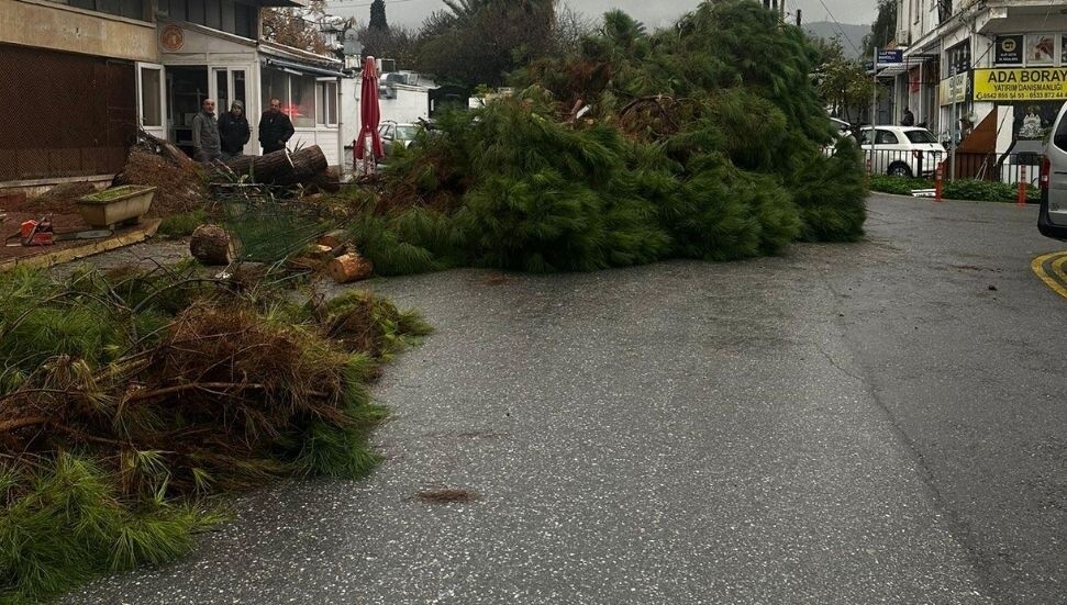 Girne’de aşırı yağış etkili oldu: Belediye ekipleri sahada
