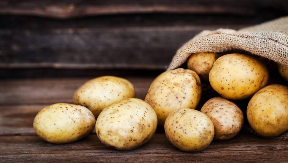 Genel Tarım Fonu: Ekilen patates arazileri 15 Ekim'e kadar beyan edilmeli