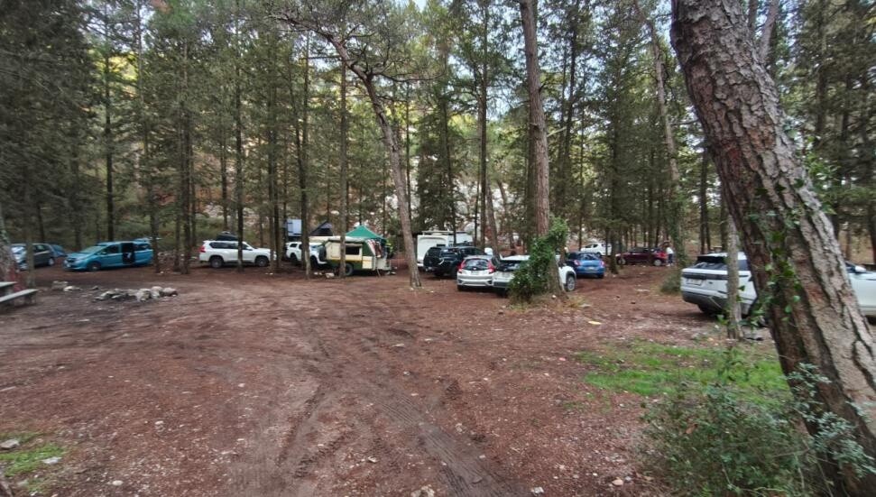 Patika’dan Orman Dairesi’ne “ücret” tepkisi: Hukuk mücadelesi ve fiilî direniş sürecek