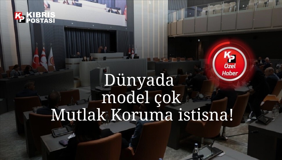 Yeniden dokunulmazlık: Örnekler ne söylüyor?