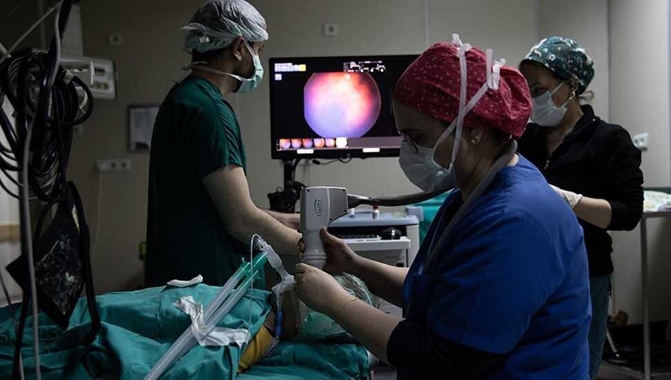 Vücutta gizlenen tümör, bağışıklık sistemini harekete geçiren "immünoterapi" ile yok ediliyor