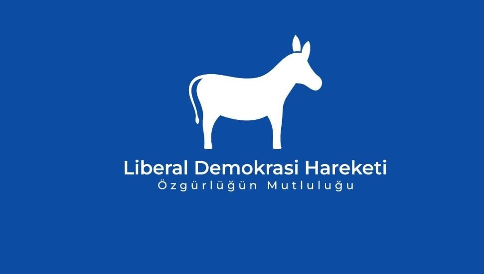 Liberal Democracy Movement: Youth Effort Cannot Be Turned into Political Leverage