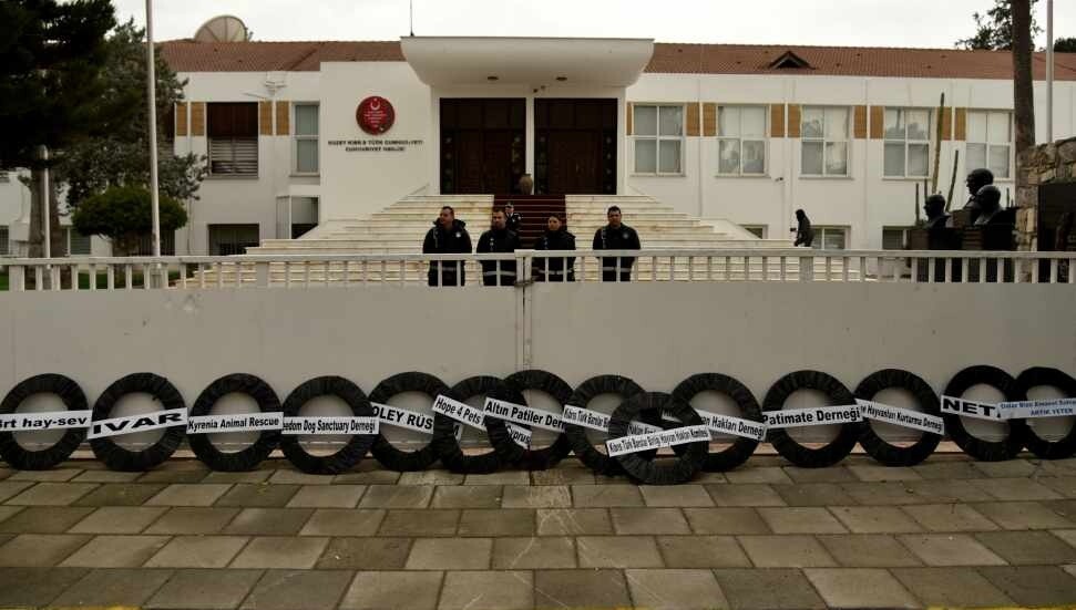 Sivil toplum örgütlerinden Meclis’e siyah çelenk: Hayvan hakları yasasının peşini bırakmayacağız