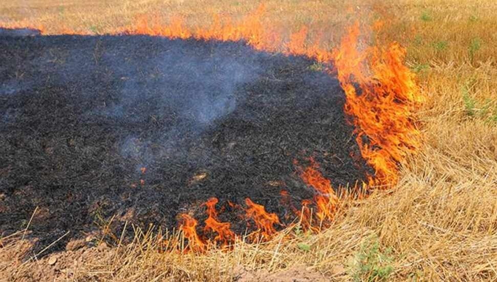 Police Warn: Stubble Burning is a Crime