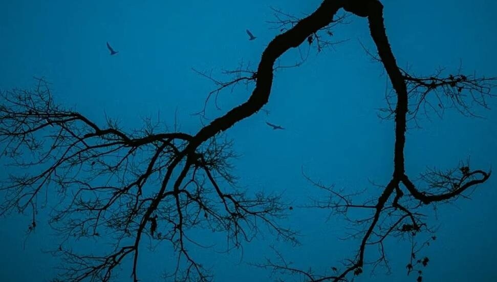 'Yılın en depresif günü' bugün: Mavi Pazartesi gerçek mi?