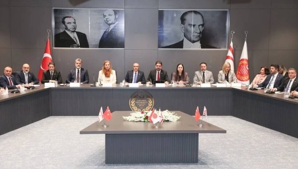 Grand National Assembly of Türkiye EU Harmonization Commission and TRNC National Assembly EU Committee met: Cyprus issue discussed
