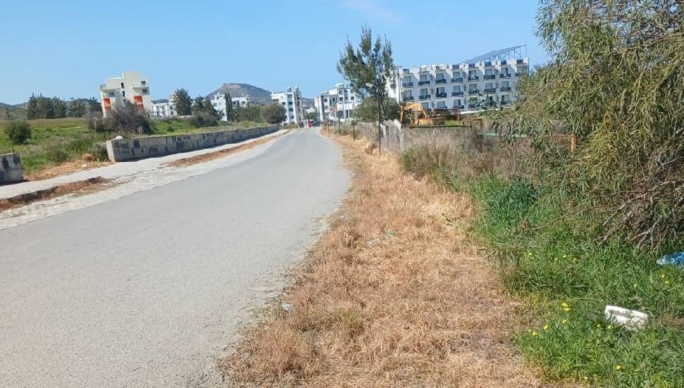 Lefke Çevre ve Ekoloji Derneği: Ot kurutma ilaçları kuşları öldürüyor, ekosisteme zarar veriyor