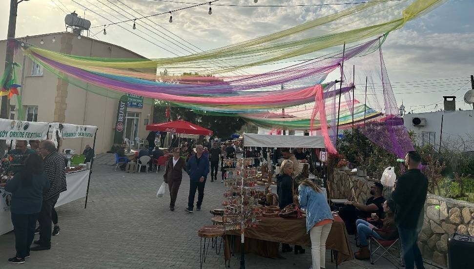 13. Geleneksel Hisarköy Orkide Festivali hafta sonu yapılıyor