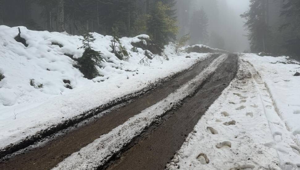 Doğu Anadolu’da kar ulaşımı vurdu: 4 ilde 530 yerleşim yerinin yolu kapalı