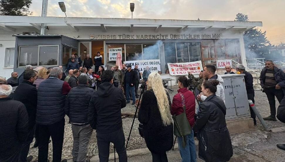 Narenciye Üreticiler Birliği eylem ateşini yaktı: Sektör dibe vurdu