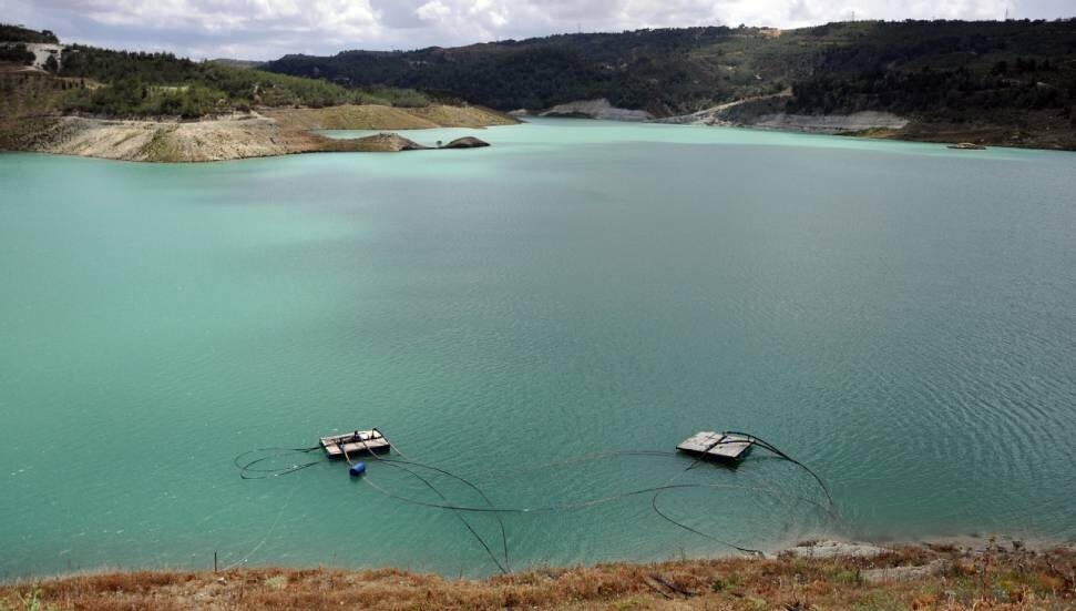 Narenciye Üreticiler Birliği'nden su dağıtımında adalet ve planlama çağrısı